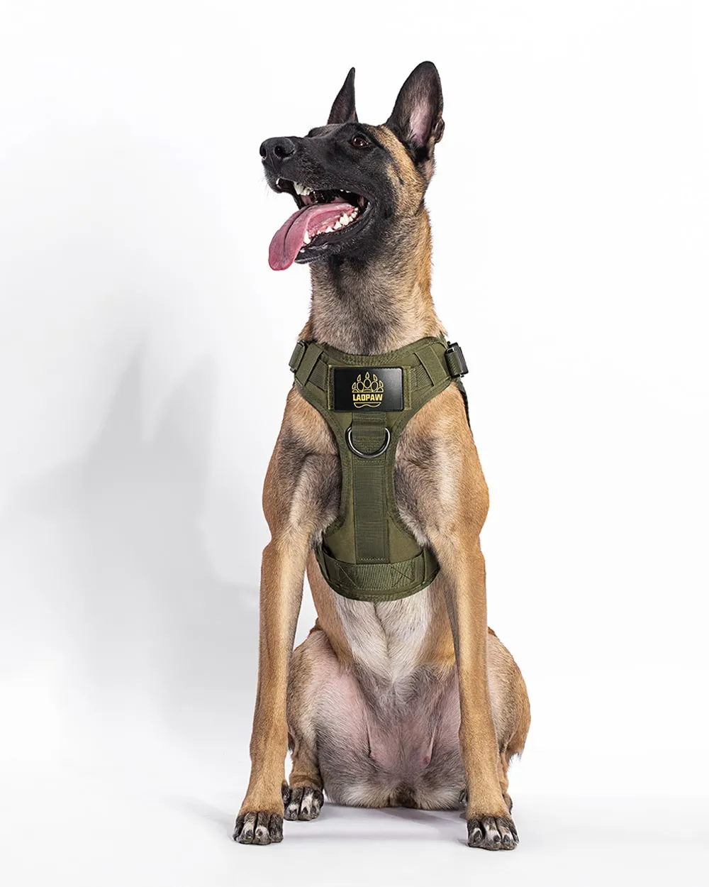 2TACTIC TACTICAL DOG HARNESS