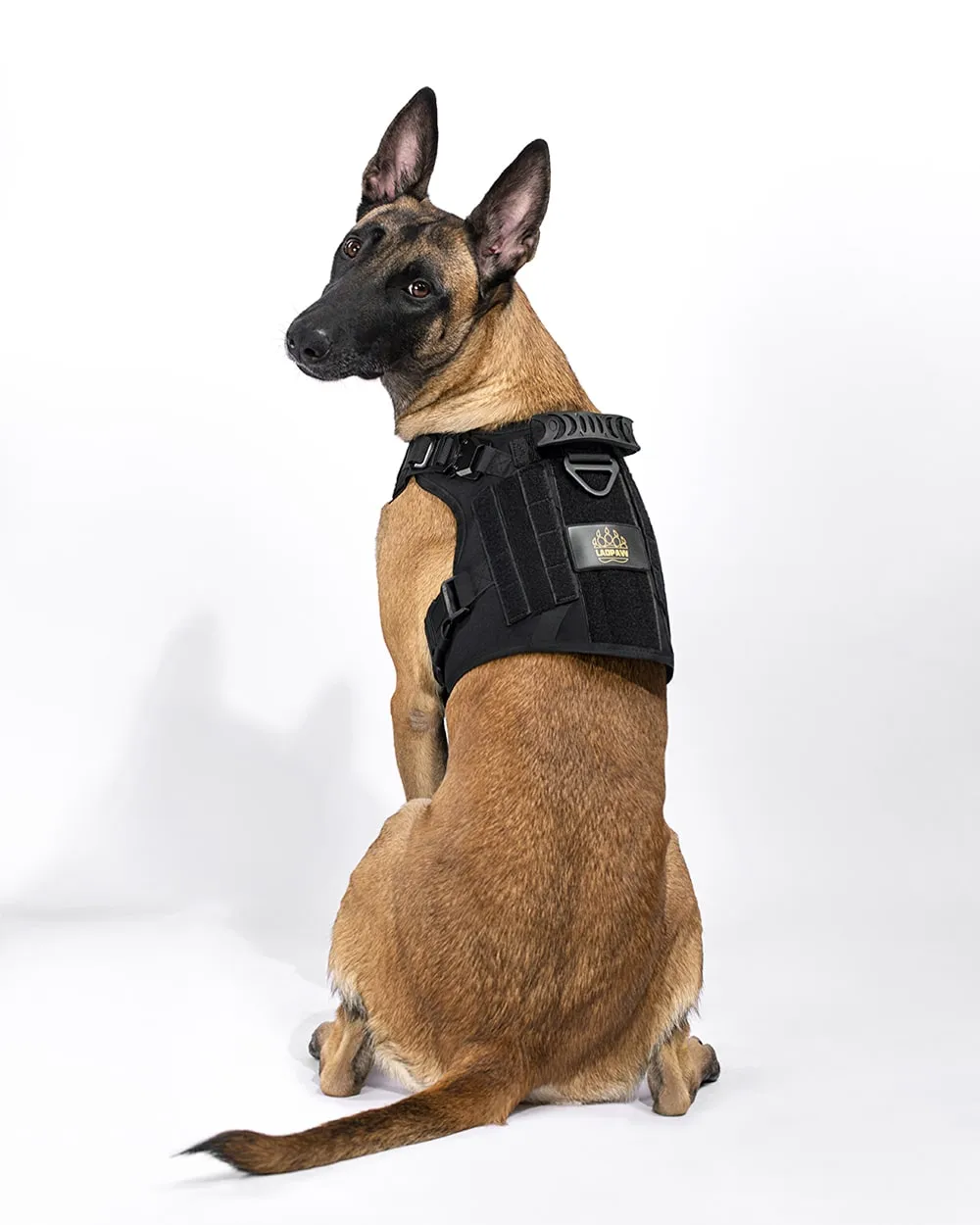 2TACTIC TACTICAL DOG HARNESS