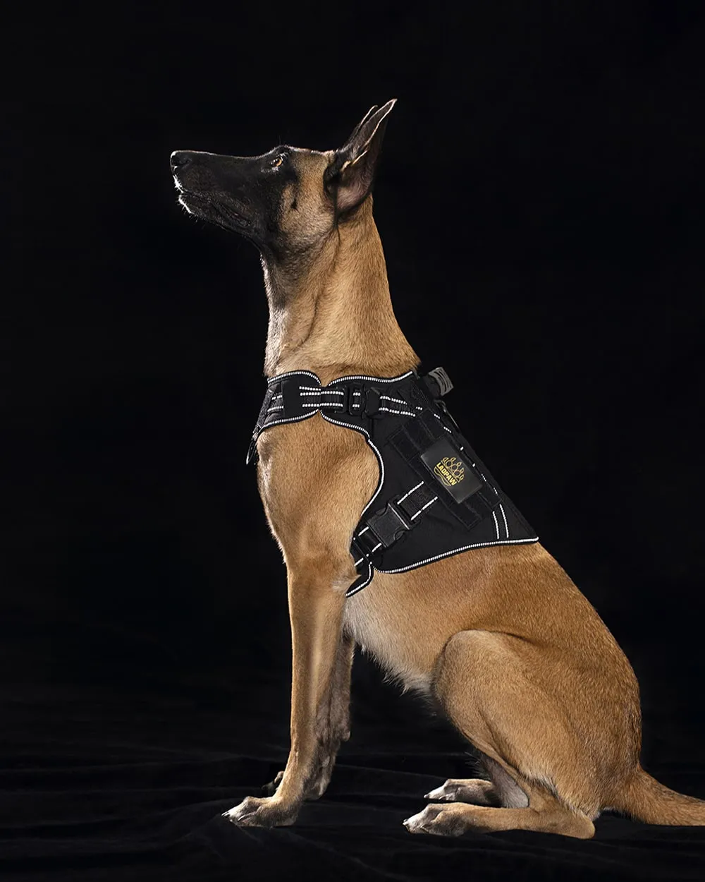 2TACTIC TACTICAL DOG HARNESS