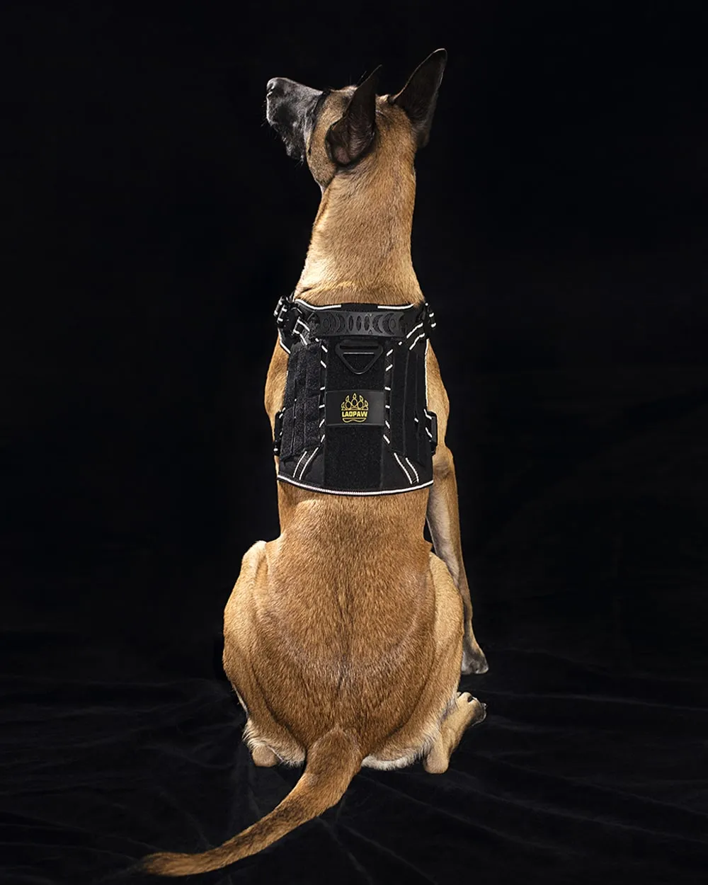 2TACTIC TACTICAL DOG HARNESS