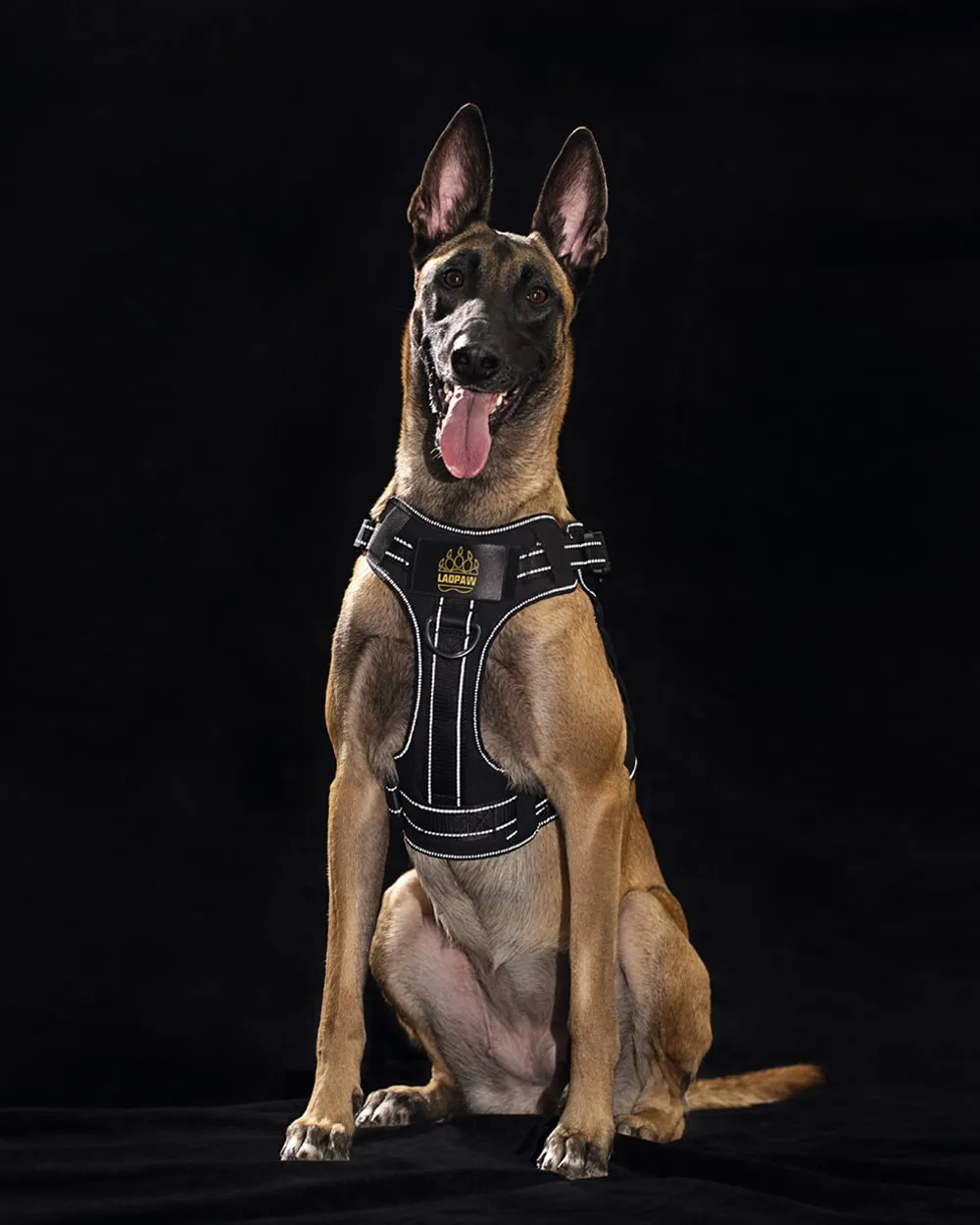 2TACTIC TACTICAL DOG HARNESS