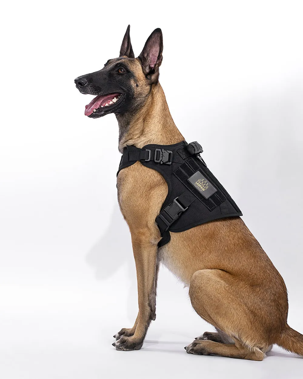 2TACTIC TACTICAL DOG HARNESS