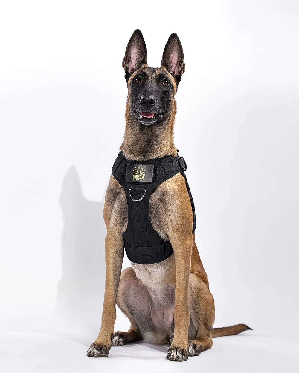 2TACTIC TACTICAL DOG HARNESS