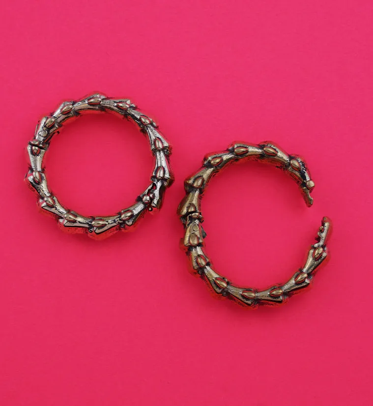 Brass Circle Of Scales Hinged Ear Weights