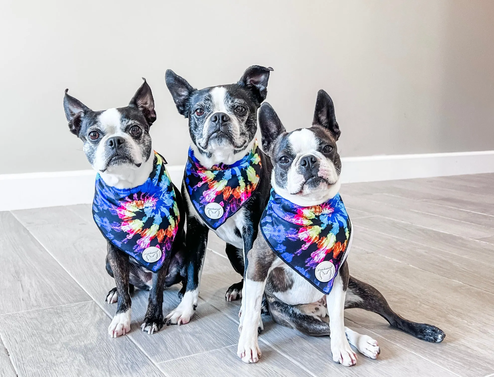 Frenchiestore Dog Cooling Bandana | Love Is Love