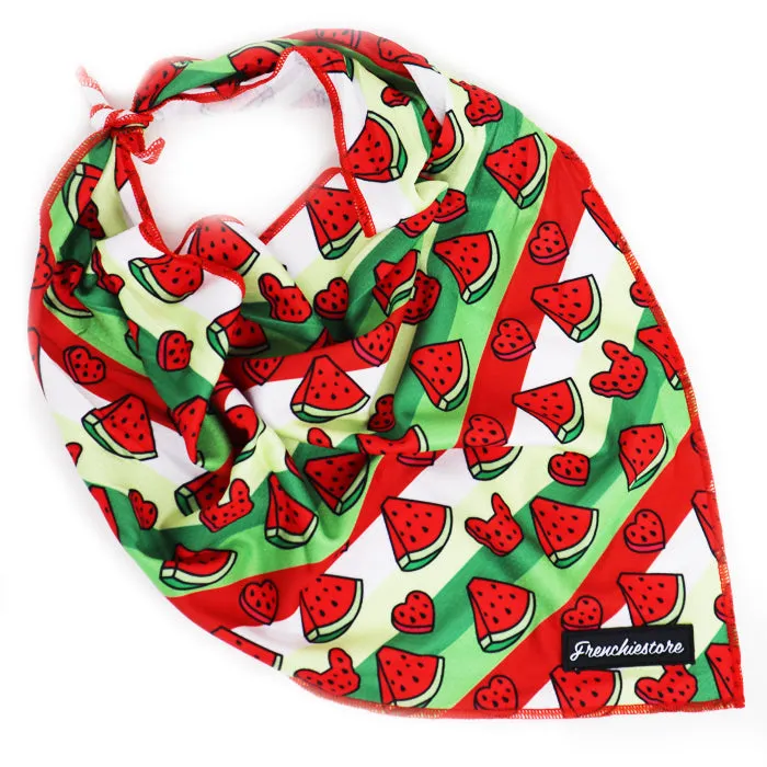 Frenchiestore Dog Cooling Bandana | Watermelon