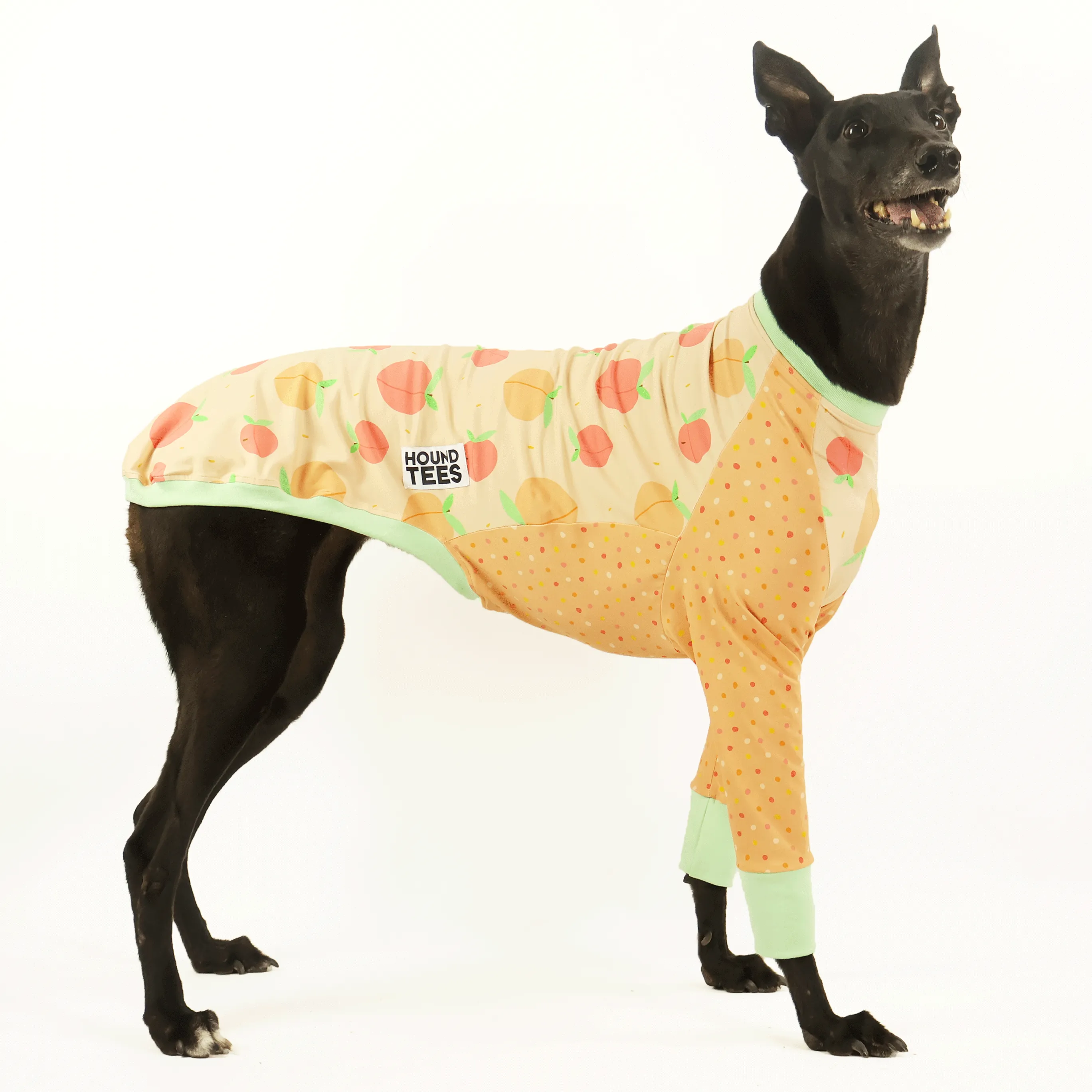 Peaches Greyhound Long Sleeve Hound-Tee